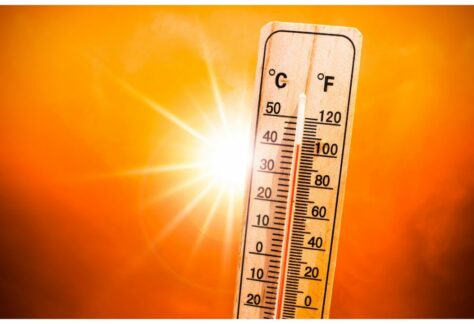 Alerte canicule école