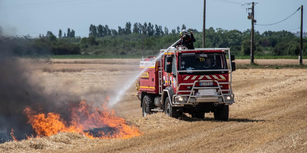 Incendie champs