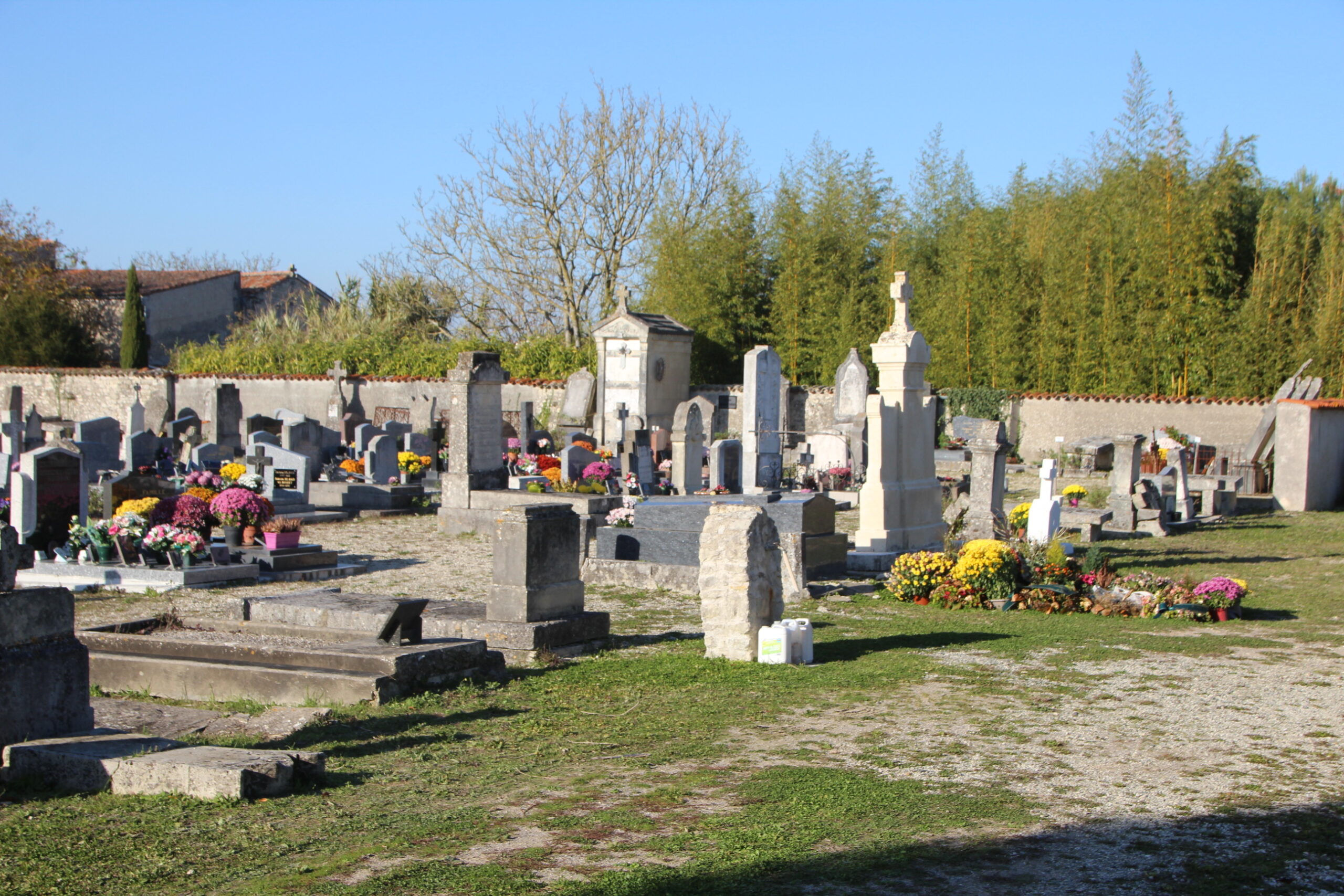 Concession cimetière