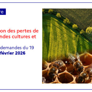 Dépôt des demandes d'indemnisation au titre de l'ISN miel non assuré – sécheresse de mai à août 2025