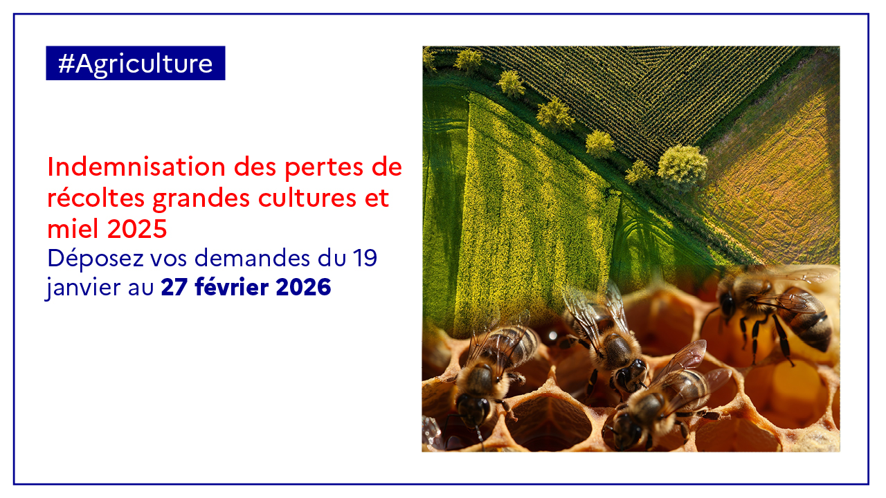 Dépôt des demandes d'indemnisation au titre de l'ISN miel non assuré – sécheresse de mai à août 2025